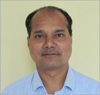 Team Member